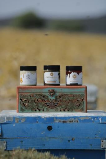 عکس فروشگاه آقای عسل