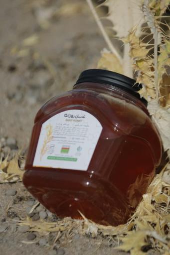 عکس فروشگاه آقای عسل