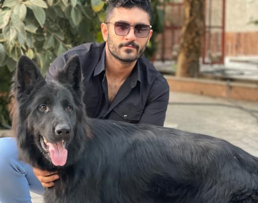 باشگاه پرورش سگ ژرمن شپرد