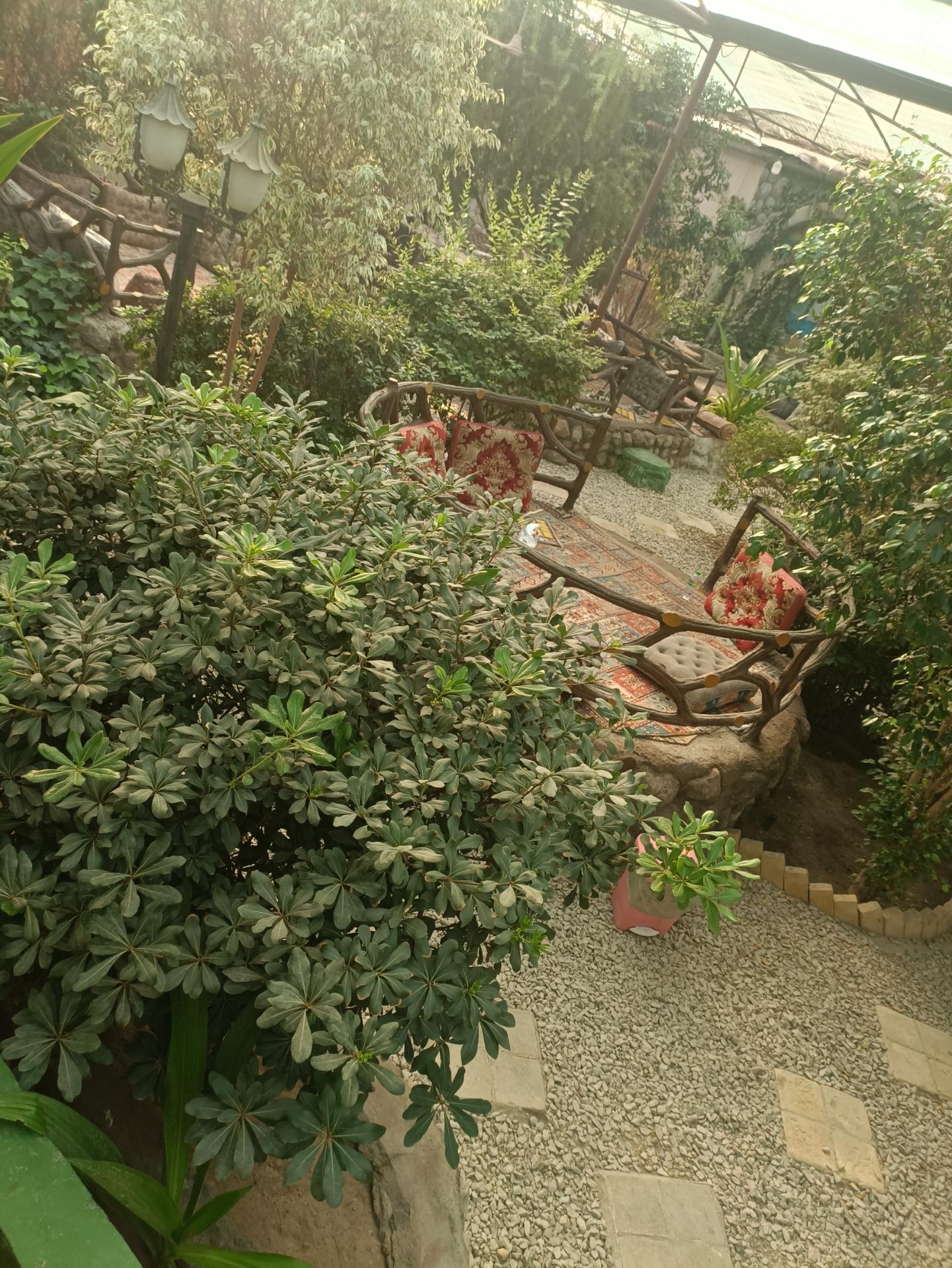 عکس رستوران باغ اعیونی