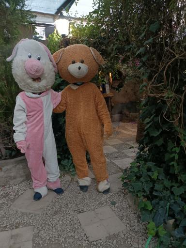 عکس رستوران باغ اعیونی