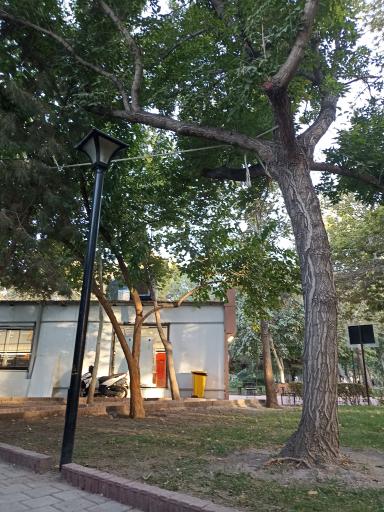 عکس پارک ملت