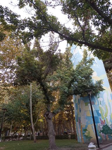 عکس پارک ملت