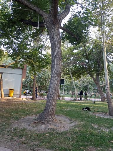 عکس پارک ملت