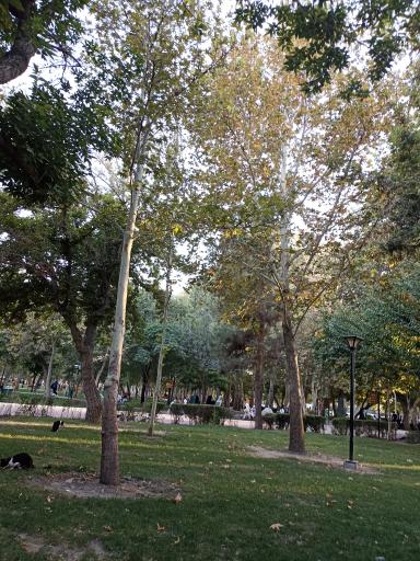 عکس پارک ملت