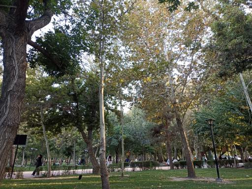 عکس پارک ملت