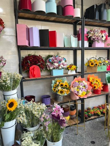 اقای گل دهکده