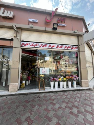 اقای گل دهکده