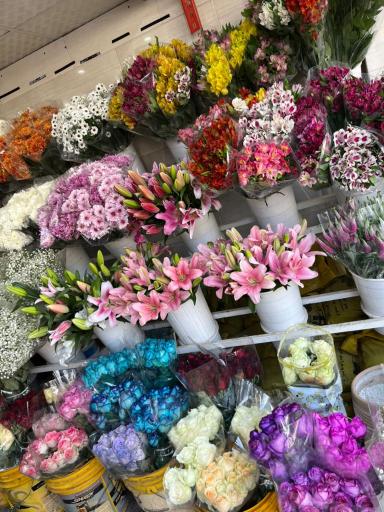 اقای گل دهکده