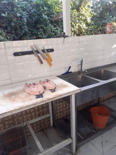 عکس رستوران ماهی سرای برکه