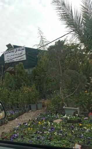 عکس نمایشگاه گل و گیاه اسلام شهر