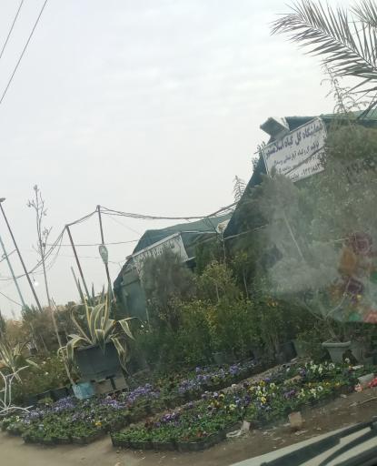 عکس نمایشگاه گل و گیاه اسلام شهر