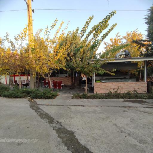 عکس رستوران ماهی سرای برکه