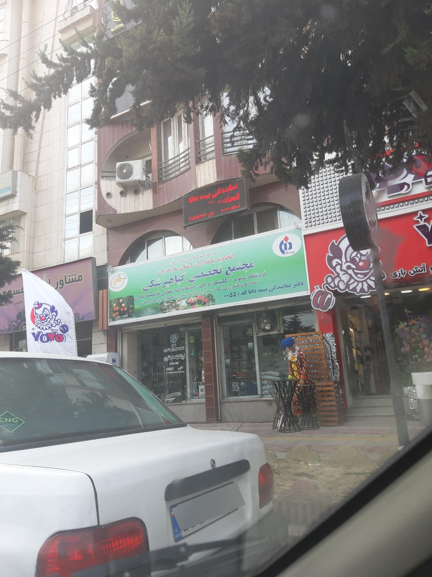 عکس اتحادیه باغداران مازندران 