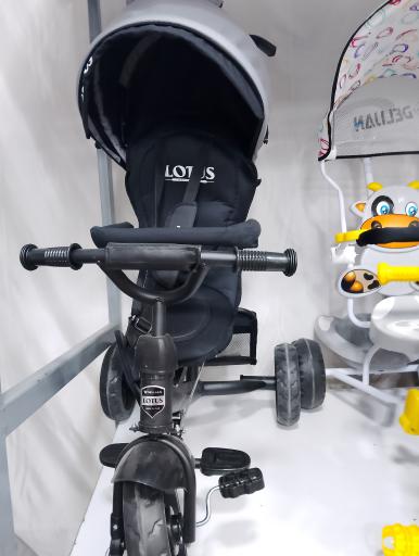 عکس سیسمونی اشکان