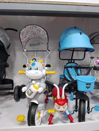 عکس سیسمونی اشکان