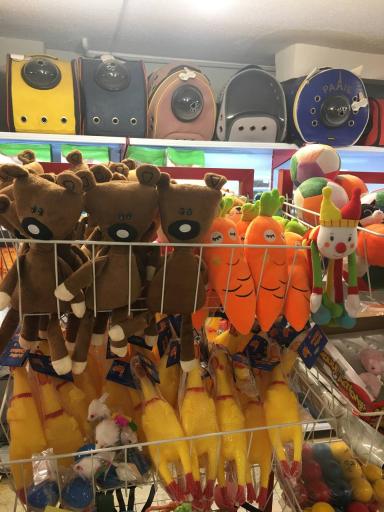 عکس کلینیک دامپزشکی و پت شاپ آمازون