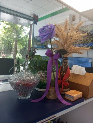 عکس نمایندگی اسنوا شعبه فروغی شاهرود