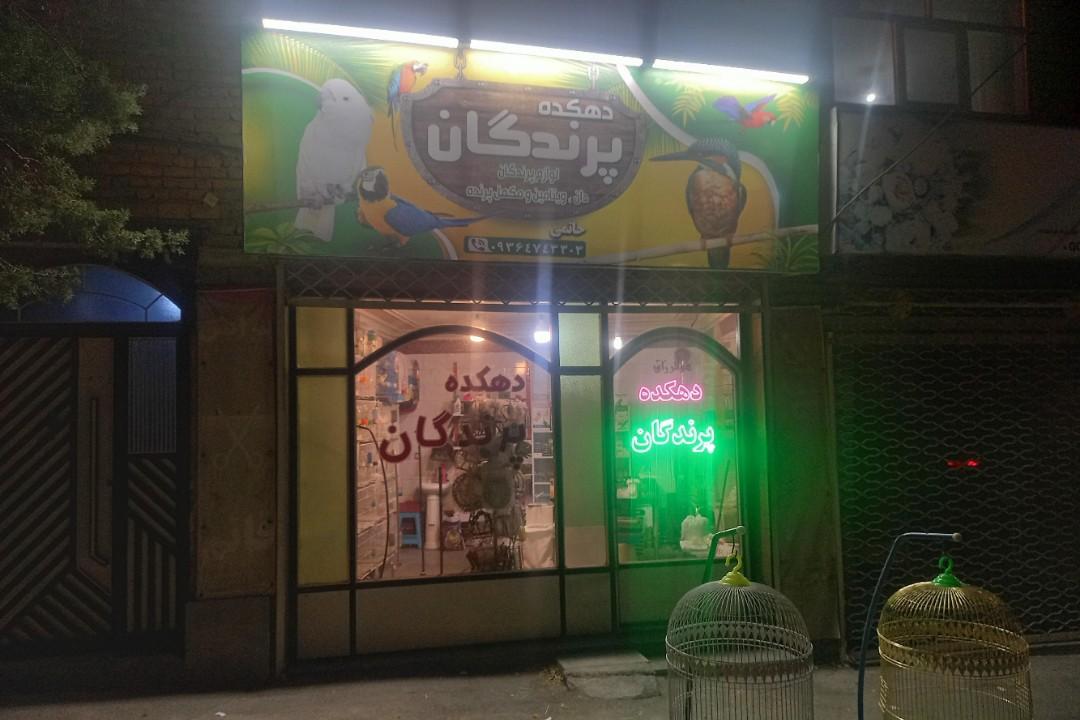 عکس دهکده پرندگان