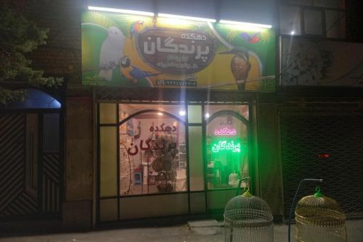 عکس دهکده پرندگان
