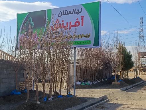 عکس نهالستان آفرینش 