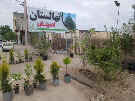 عکس نهالستان آفرینش 