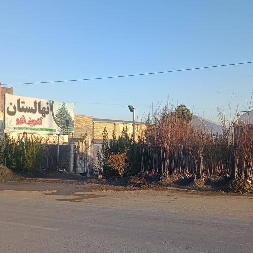 عکس نهالستان آفرینش 