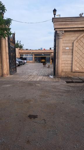 عکس فرزاد یدک