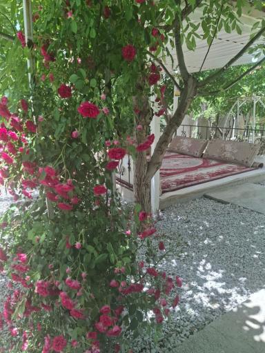عکس مجتمع گردشگری و اقامتی بهار