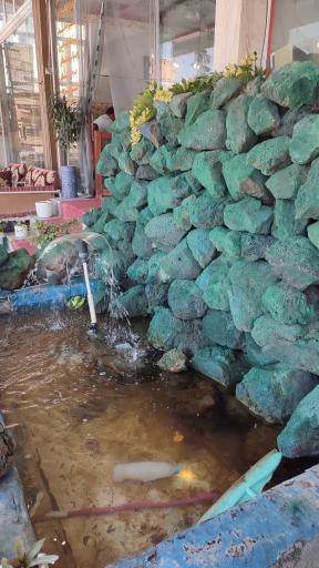 عکس سوپر مارکت تک (علیصدر)