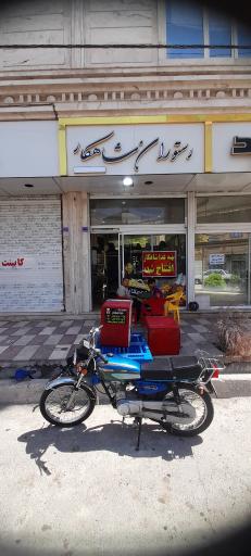 عکس تهیه غذا شاهکار