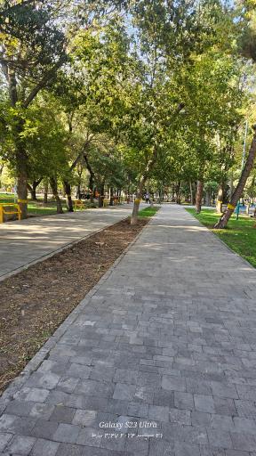 عکس پارک شیخ شهاب الدین