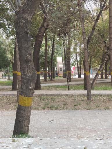 عکس پارک شیخ شهاب الدین