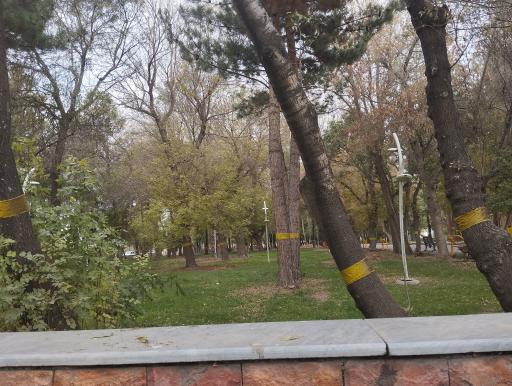 عکس پارک شیخ شهاب الدین