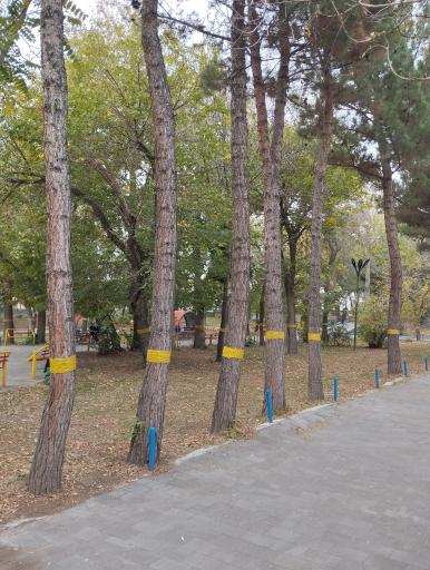 عکس پارک شیخ شهاب الدین