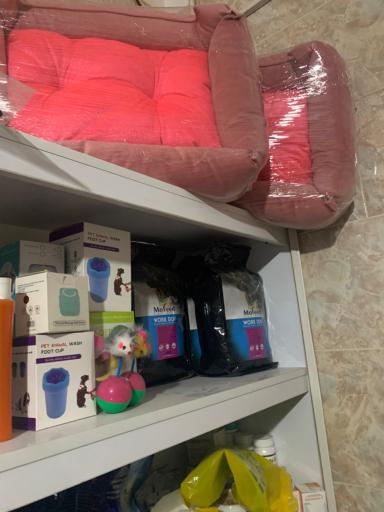 عکس کلینیک دامپزشکی دکتر رضوانی