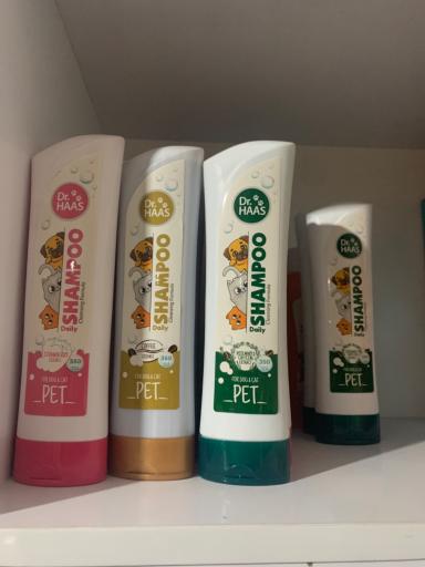 عکس کلینیک دامپزشکی دکتر رضوانی