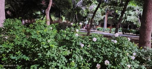 بوستان دشتستان