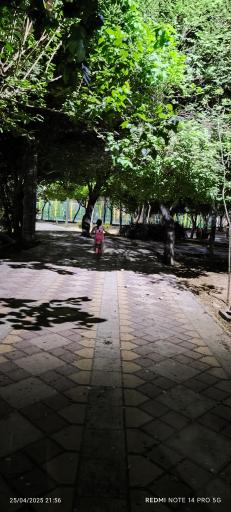 عکس بوستان دشتستان