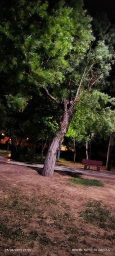 عکس بوستان دشتستان