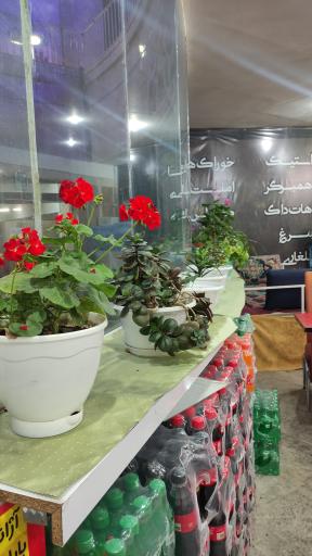 عکس اغذیه سرای خیام