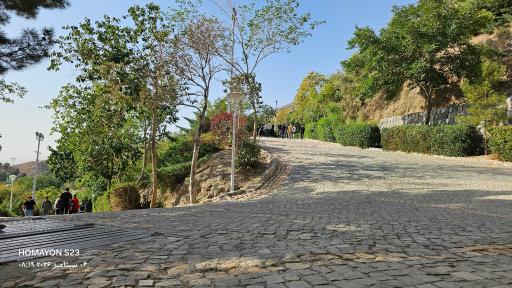 عکس پناهگاه کوهنوردی صفه