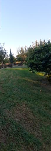 عکس بوستان مادر