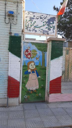 عکس مدرسه نفیسه 