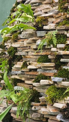 عکس گلفروشی گلناز