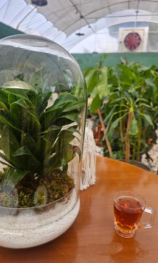 عکس گلفروشی گلناز