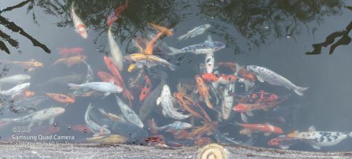 عکس رستوران مجتمع پذیرایی فیامین