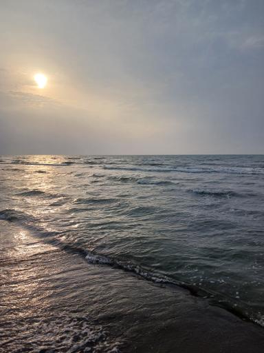 عکس مجتمع ساحلی صدف جهاد کشاورزی