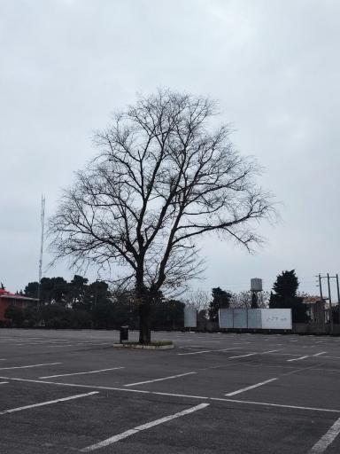 عکس پارکینگ جنوبی