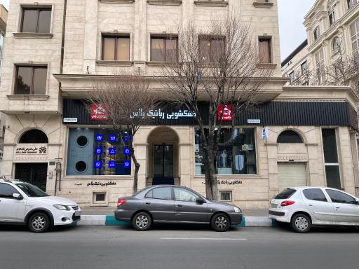 خشکشویی رباتیک پلاس